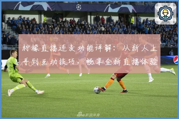 柠檬直播连麦功能详解：从新人上手到互动技巧，畅享全新直播体验