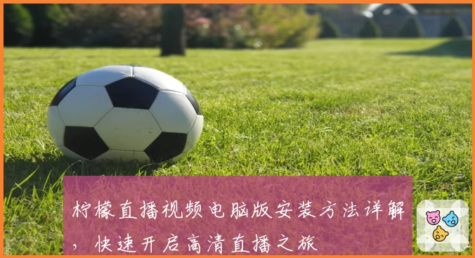 柠檬直播视频电脑版安装方法详解，快速开启高清直播之旅